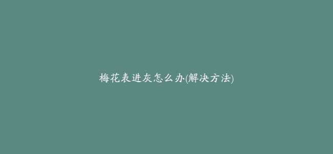 梅花表进灰怎么办(解决方法)