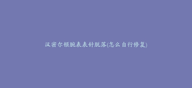 汉密尔顿腕表表针脱落(怎么自行修复)