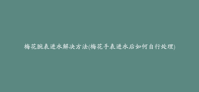 梅花腕表进水解决方法(梅花手表进水后如何自行处理)