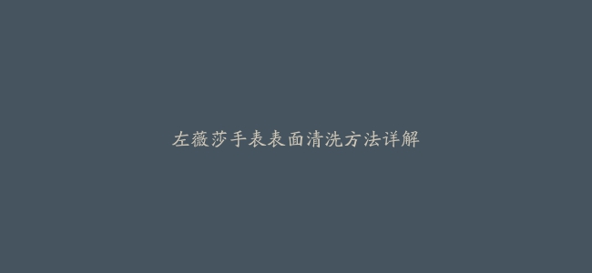 左薇莎手表表面清洗方法详解